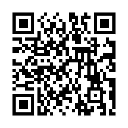 Bitcoin payment QR code for supporting Camaleone.