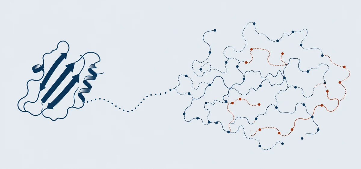 Ordered protein structure transitioning into an ensemble of flexible conformations